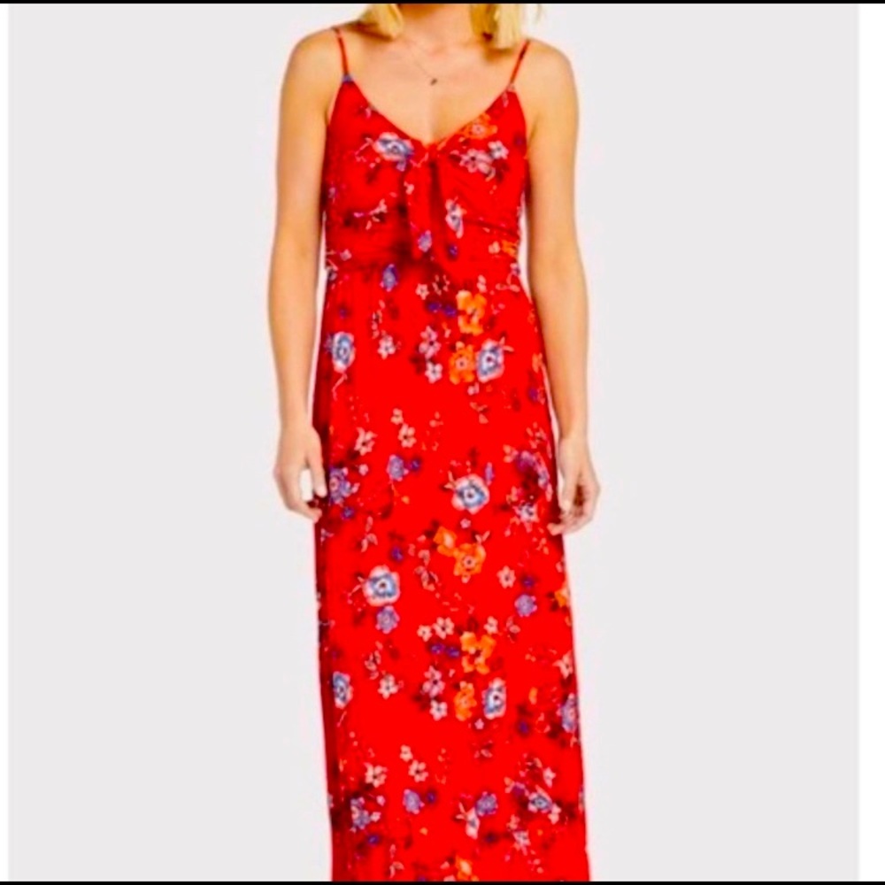 Allison Joy Red Paisley Maxi Dress
